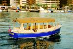 Duffy Electric Boat : Duffy 22 Cuddy - seats 10 - 12 adults